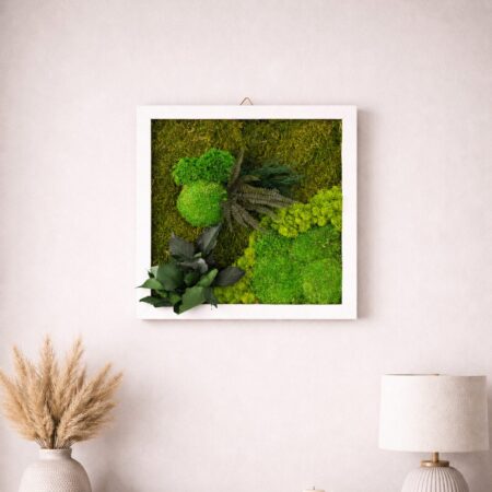 Quadro sottobosco stabilizzato