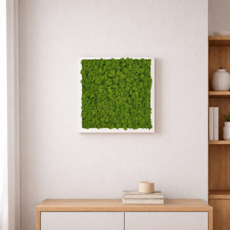 Quadro lichene