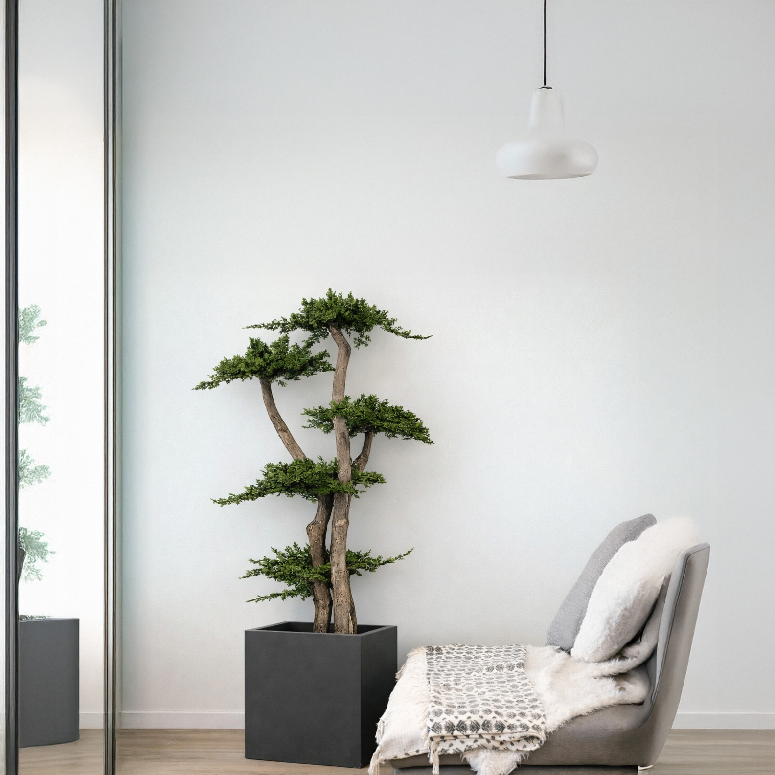 Albero Ginepro stabilizzato 100 cm