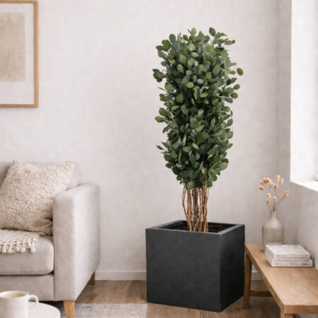 albero-populus-stabilizzato-130-cm