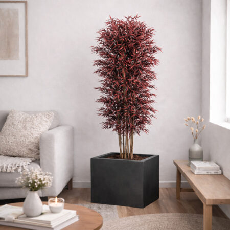 albero- wide-nicoly-rosso-stabilizzato-130-cm
