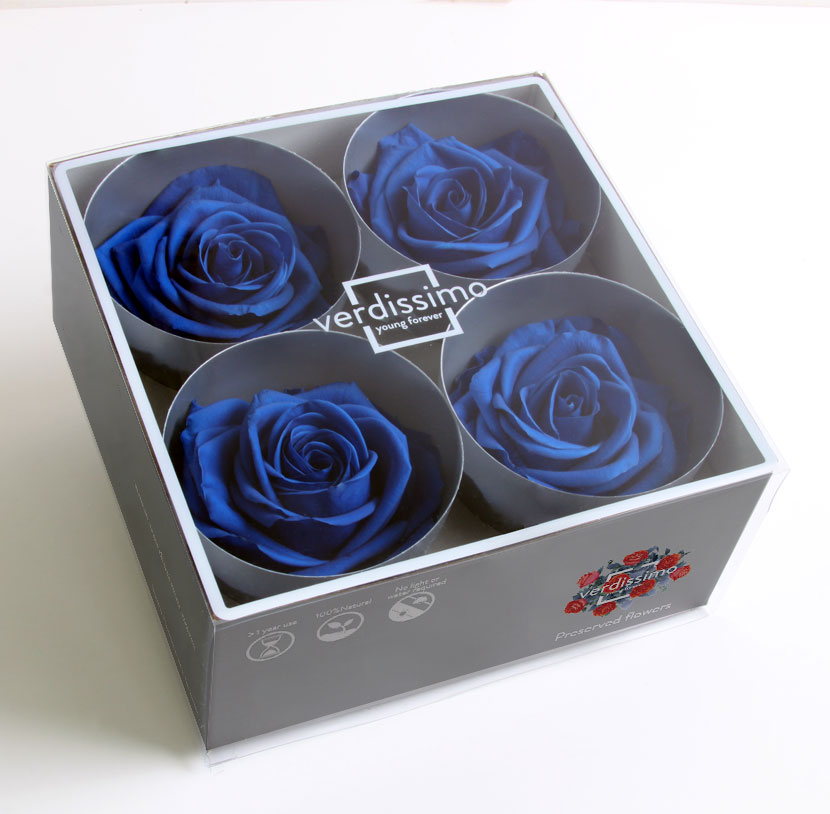 Kerbl Pettine Per Criniera Senza Gambo – Striglia Professionale Per Cavalli