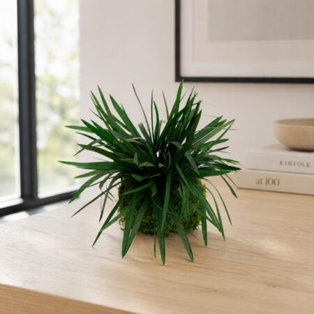 Kokedama Papiro