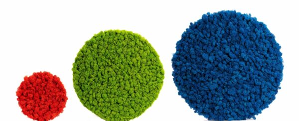 Novità 2024 in Verde Stabilizzato