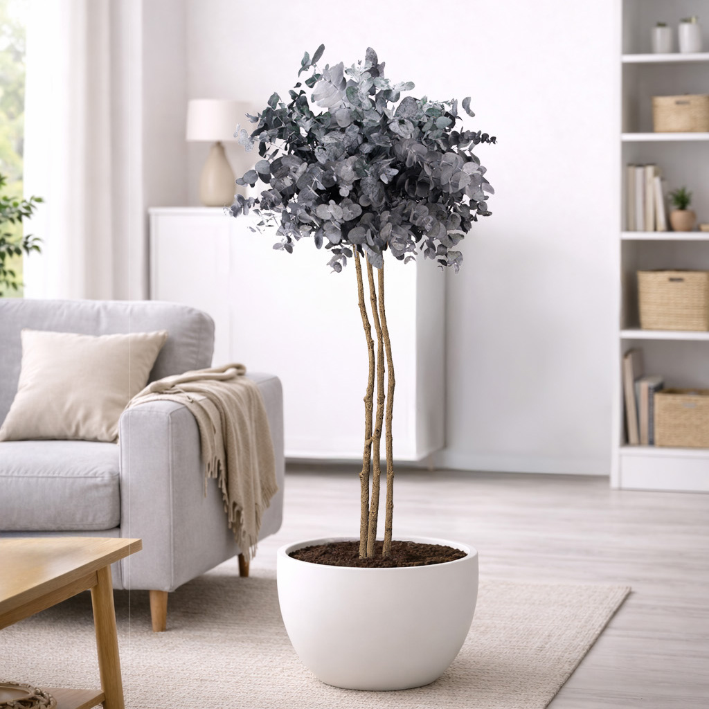 albero-cinerea-stabilizzato-a-sfera-160-cm