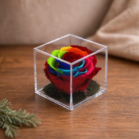 Rosa premium box cubo arcobaleno
