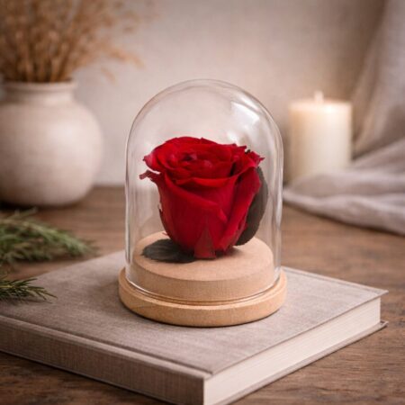 Rosa Queen cloche di vetro