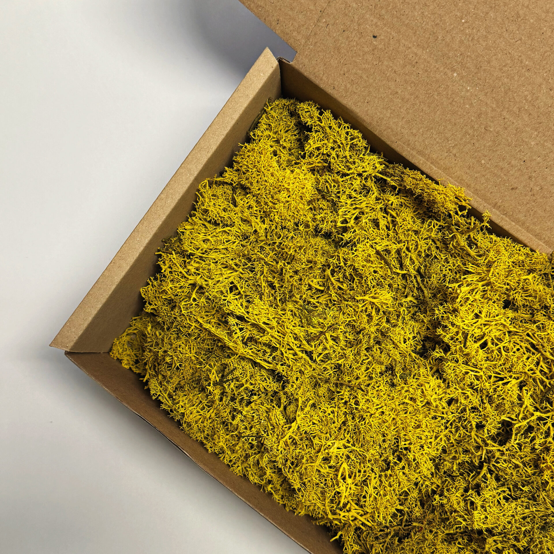 Lichene radicale colorato 500 gr giallo