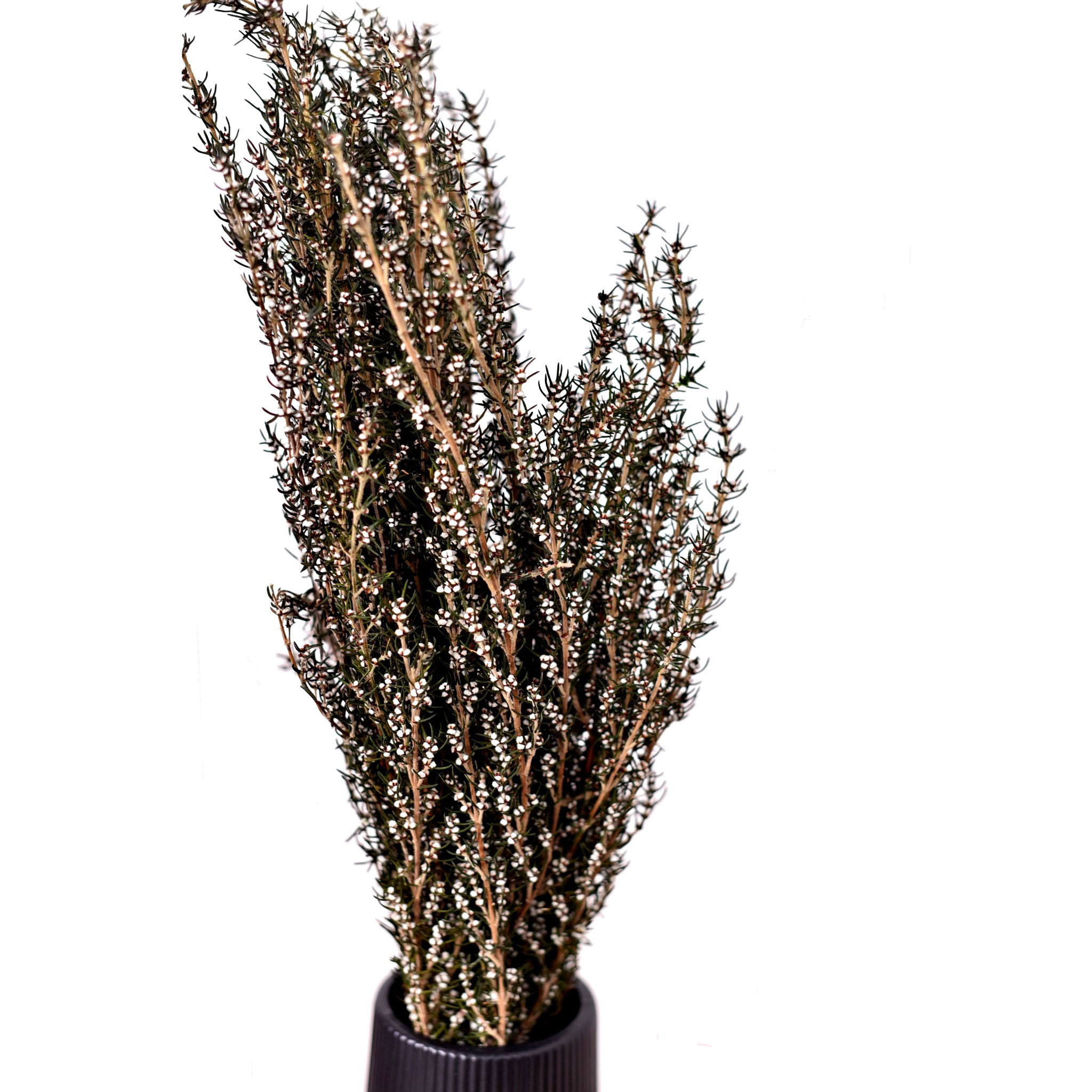 Grabia Natural