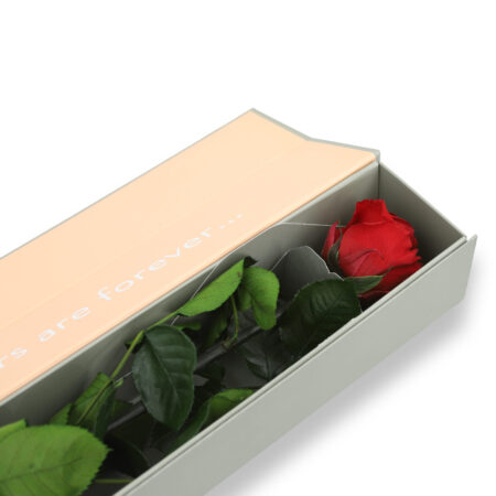 Rosa eterna premium con scatola regalo