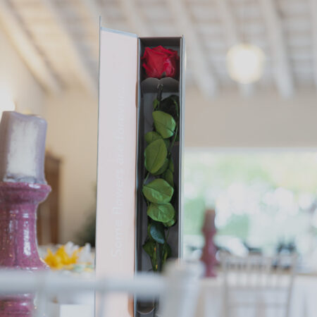 Rosa eterna premium con scatola regalo
