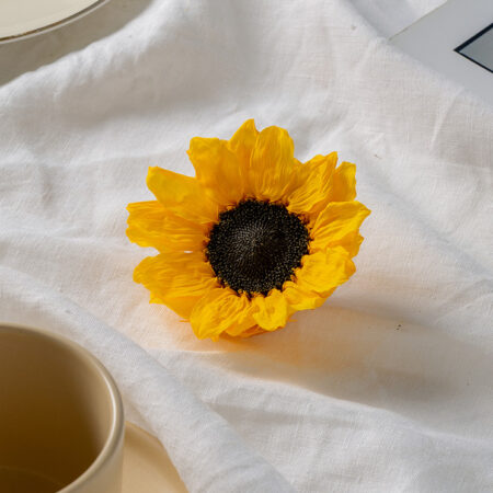 Girasole stabilizzato