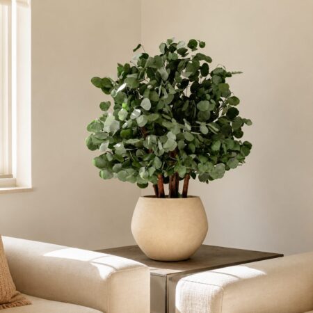 Albero Popolus 100 cm