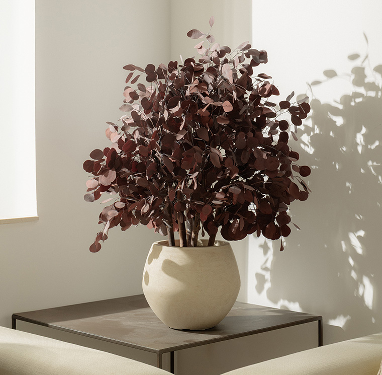 Albero Populus rosso 100 cm