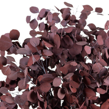 Albero Populus rosso 100 cm