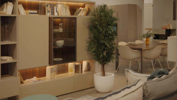 Bonsai e Piante Stabilizzate Artigianali