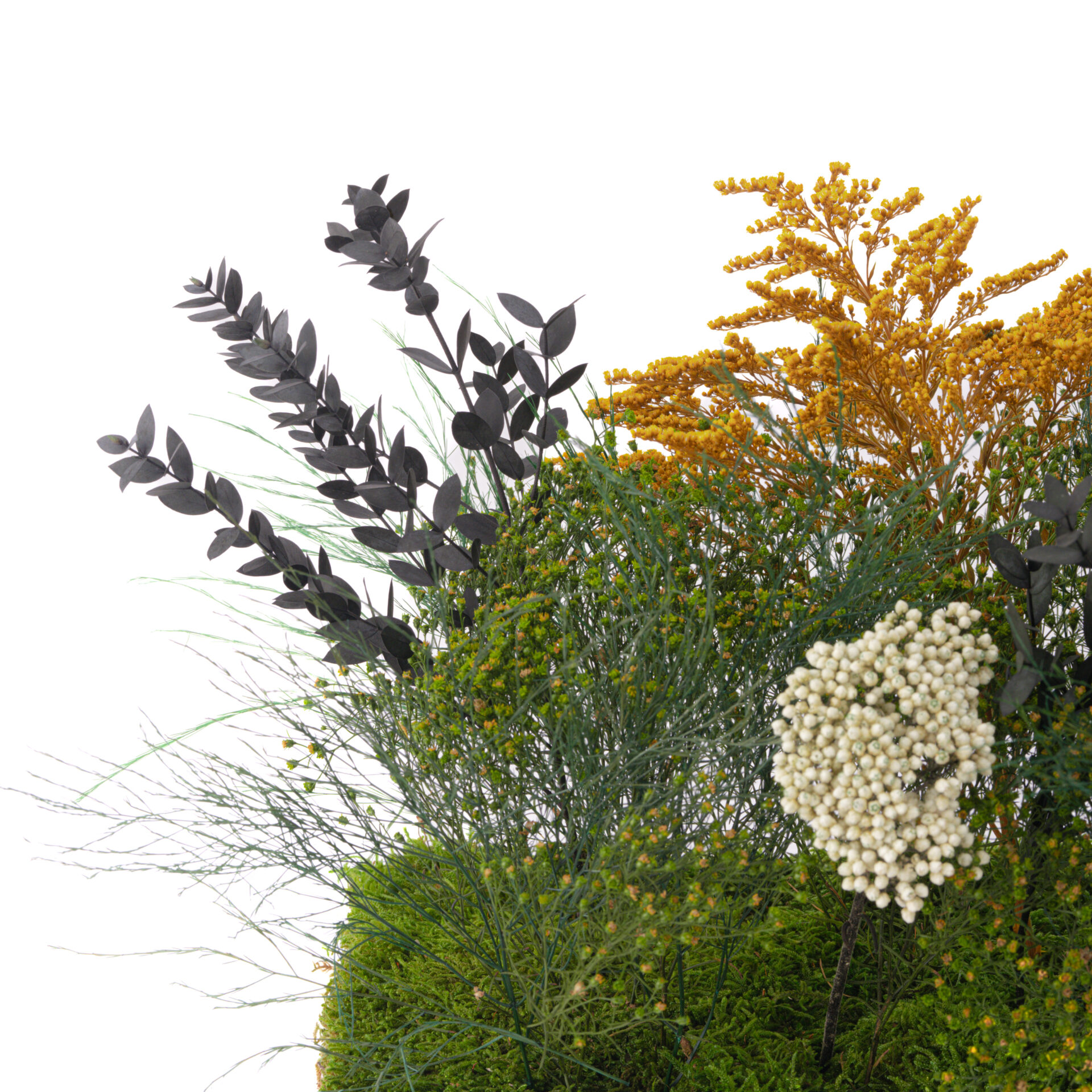 Composizione Fleuri stabilizzata