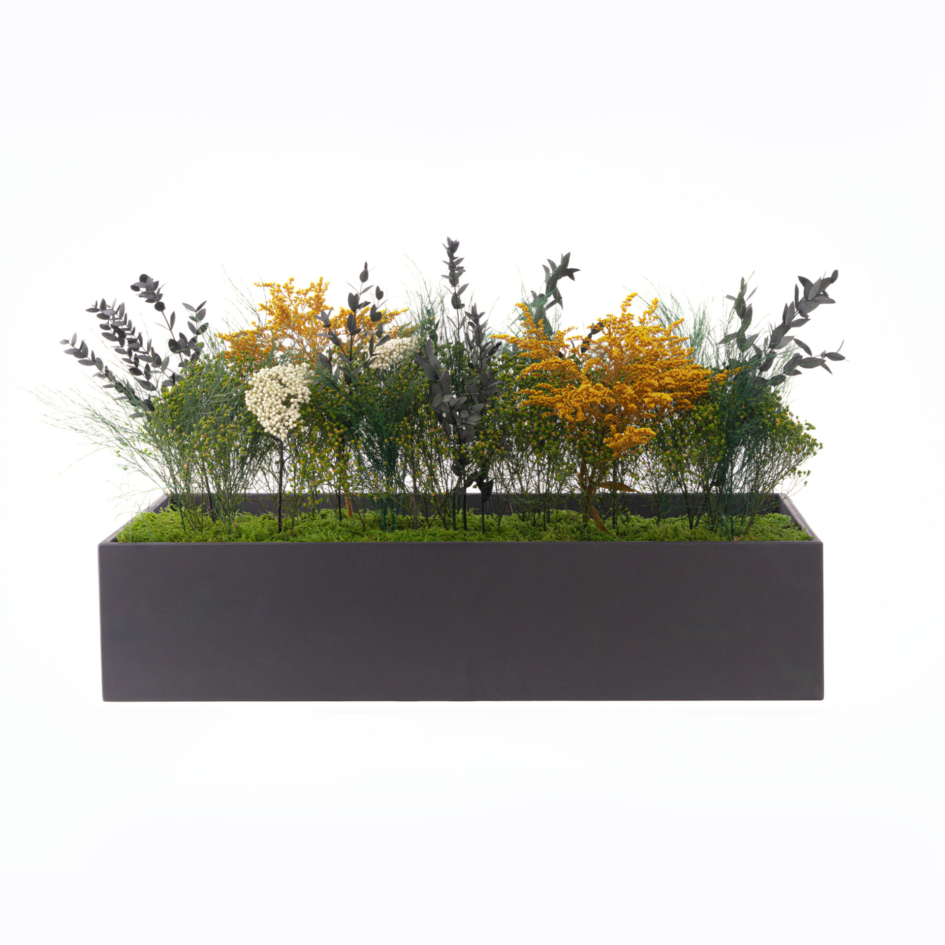Composizione Fleuri stabilizzata