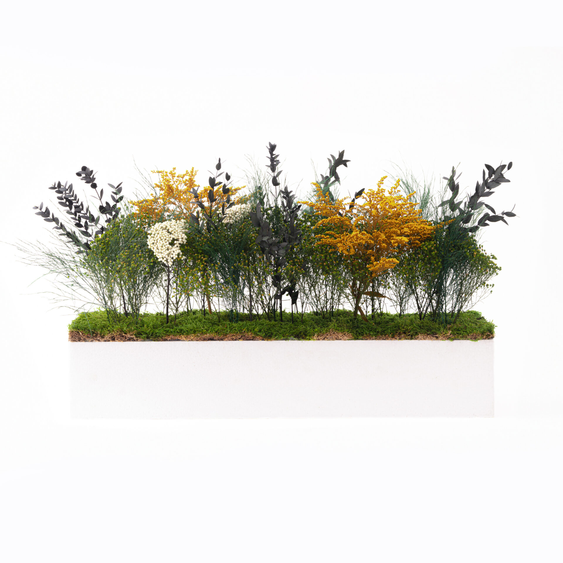 Composizione Fleuri stabilizzata