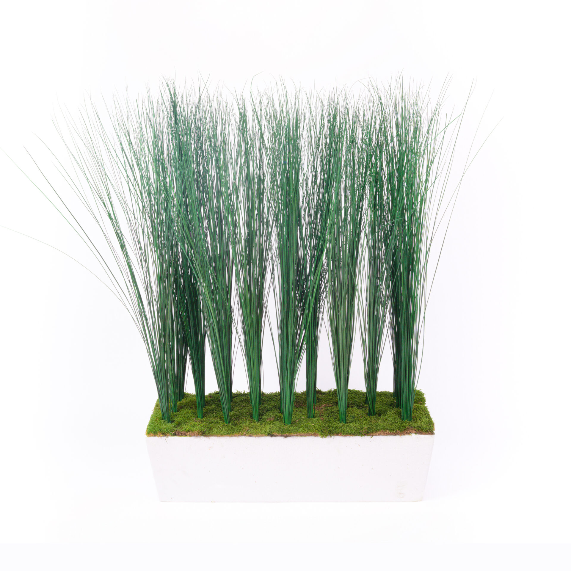 Composizione Steel Grass stabilizzata