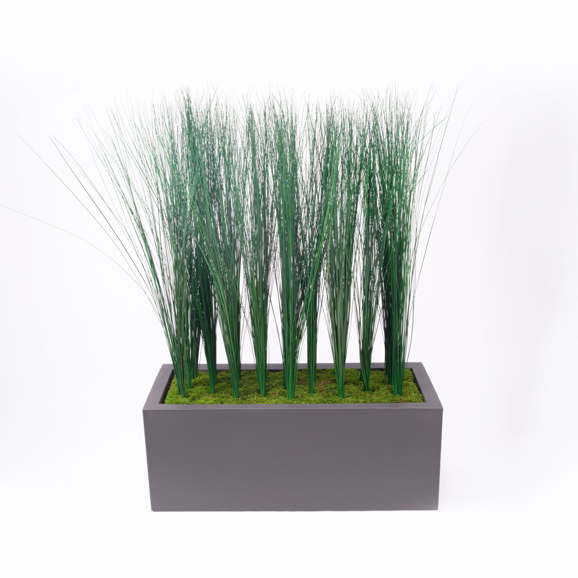 Composizione Steel Grass stabilizzata