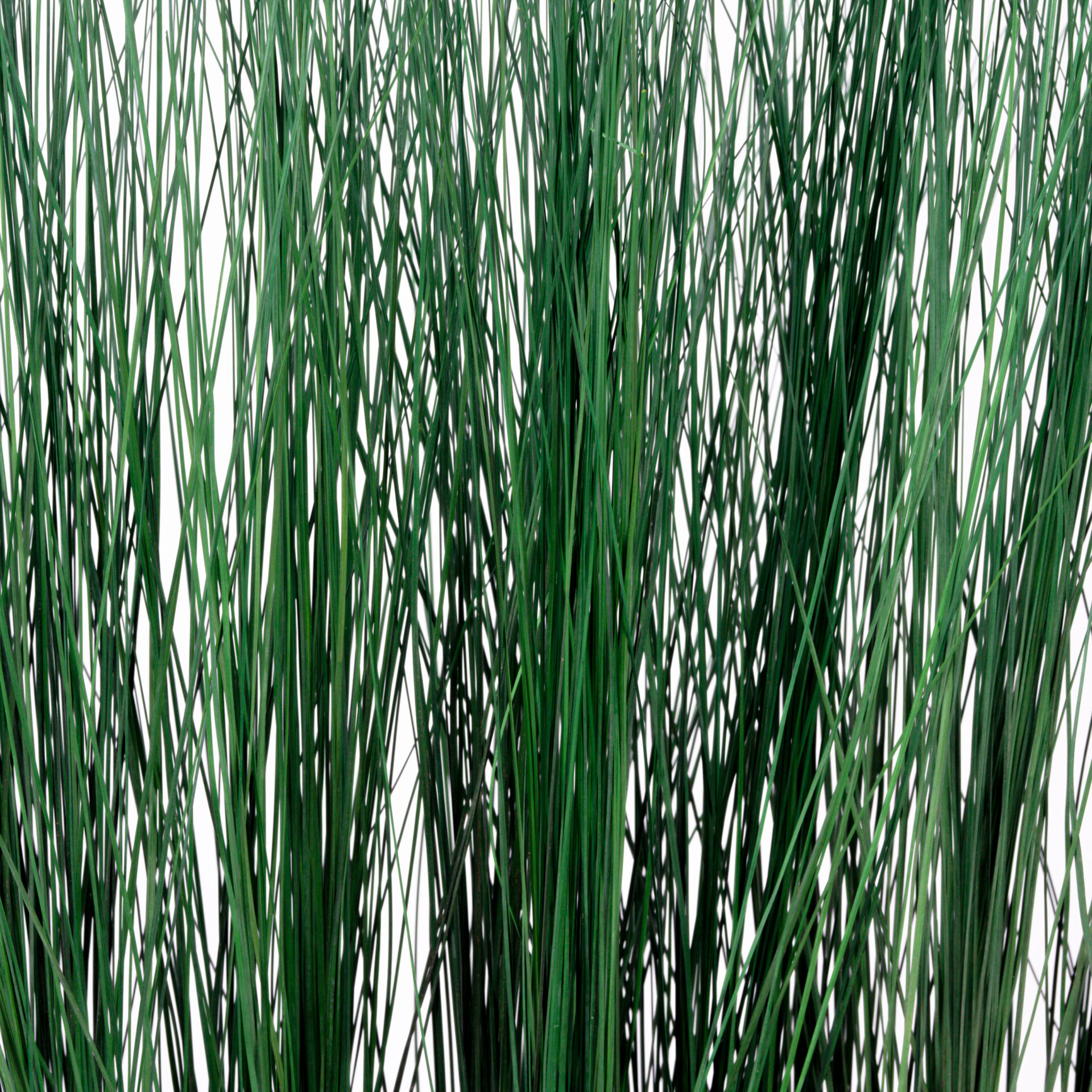 Composizione Steel Grass stabilizzata
