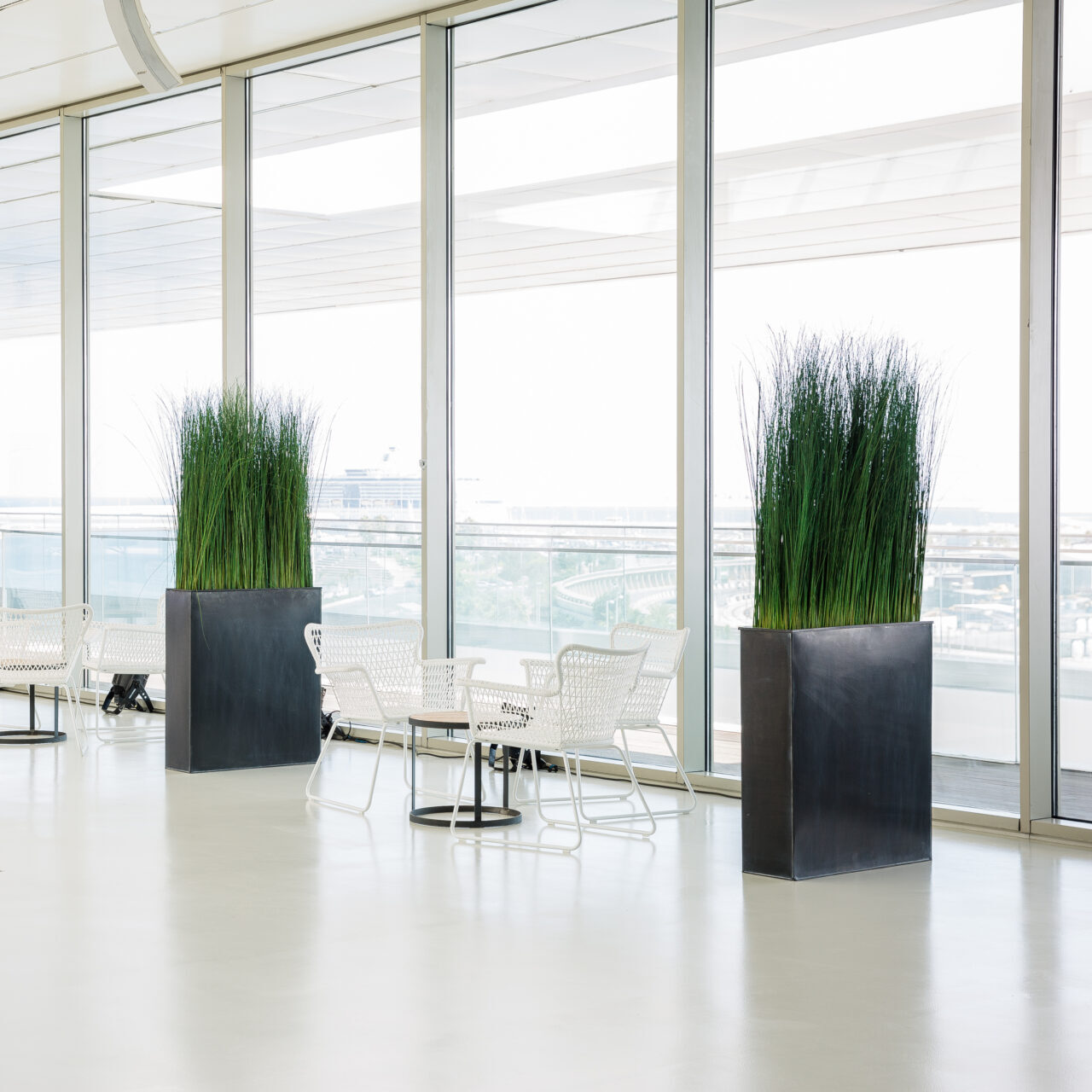 Composizione Steel Grass stabilizzata